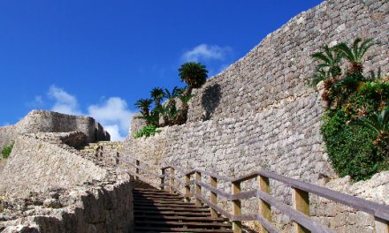 Camera Talk: Leading Lines