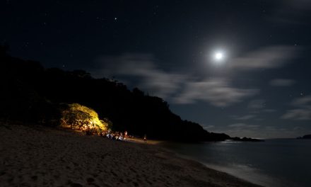 Camera Talk: Low Light Shots