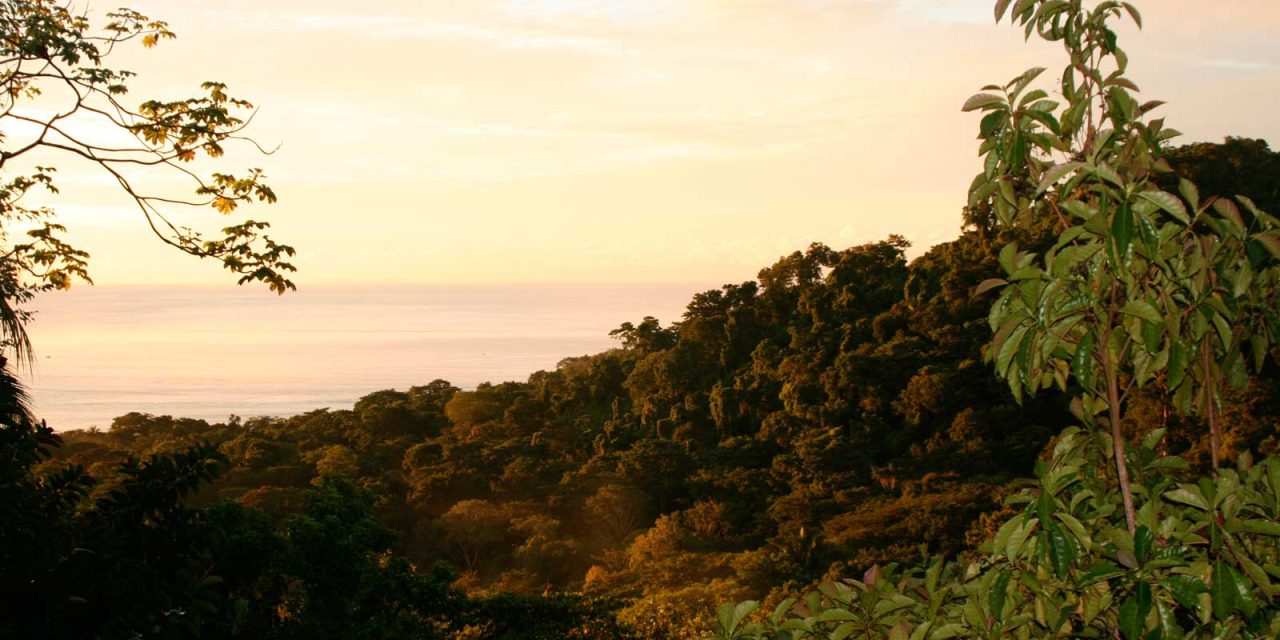 Waiting to Dance in Costa Rica