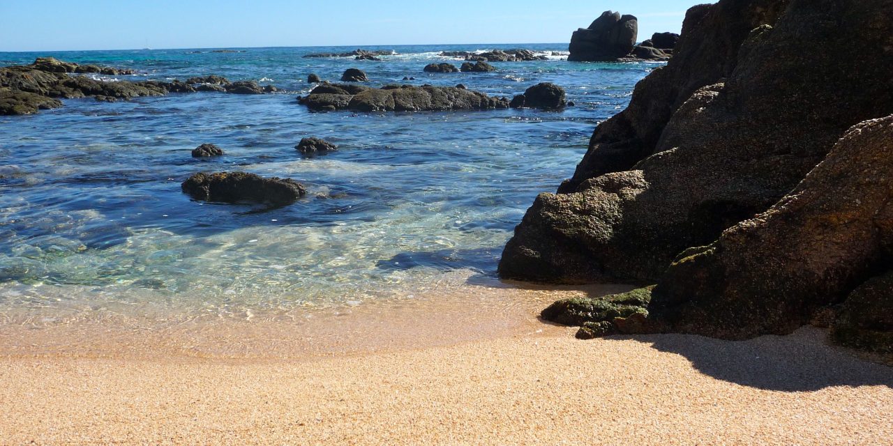 Los Cabos Luxury, Fiesta Americana