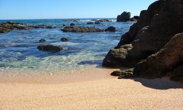 Los Cabos Luxury, Fiesta Americana