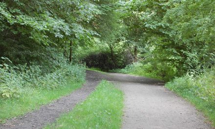 Walking Denmark