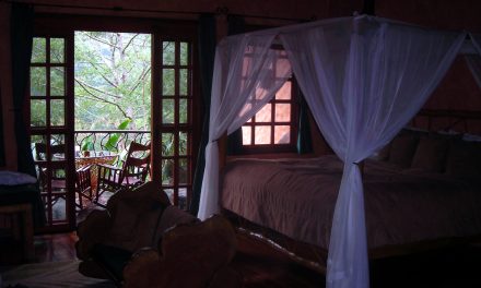 Finding Peace in Costa Rica’s Cloud Forest