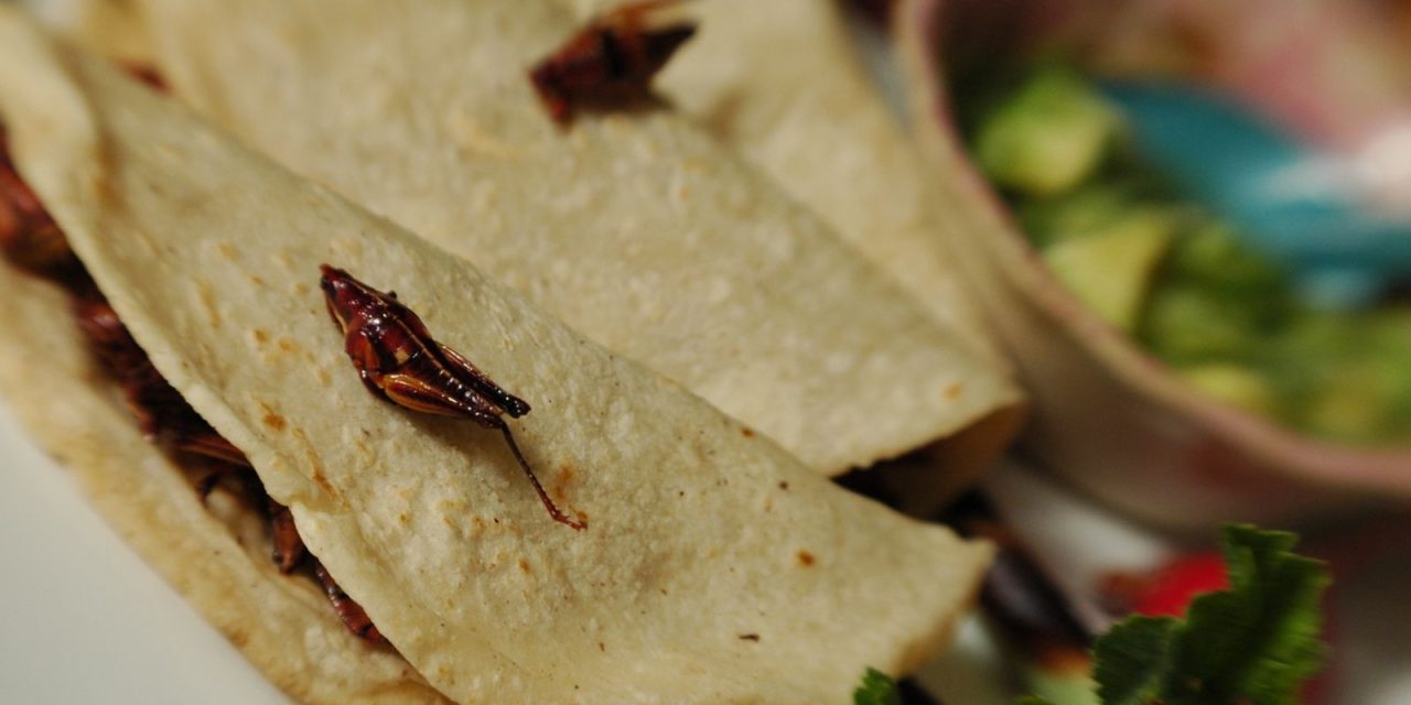 Restaurant Week in Puerto Vallarta