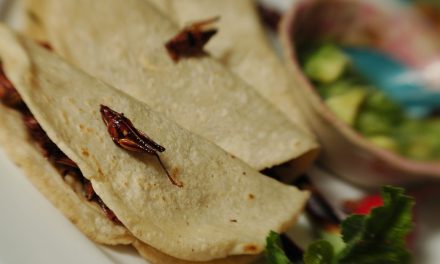 Restaurant Week in Puerto Vallarta