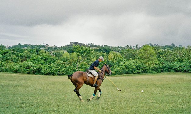 Playing Polo in Barbados