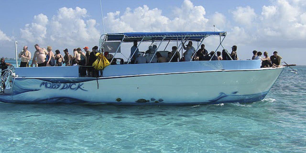 Grand Cayman’s Creatures