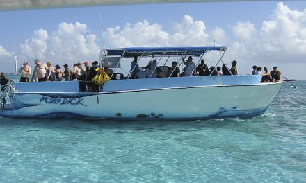 Grand Cayman’s Creatures