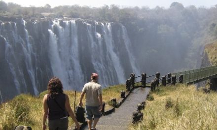 Bungee Jumping in Zambia: 365 Feet of Fun