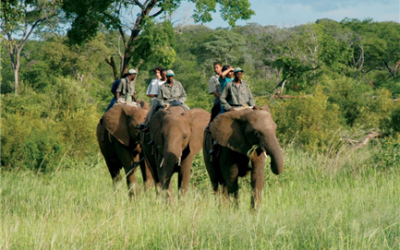 Southern Africa Shines Through a Child’s Eyes