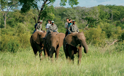 Southern Africa Shines Through a Child’s Eyes