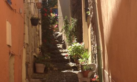 A Peak in Provence, France V