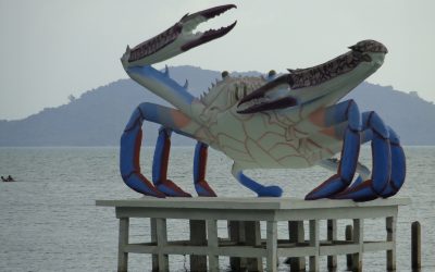 Kep the Crabs Coming