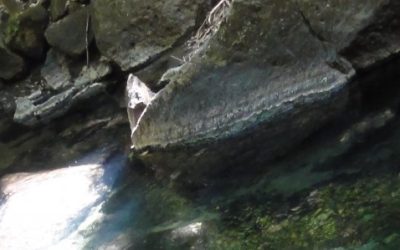 Finding the Lost River in Costa Rica
