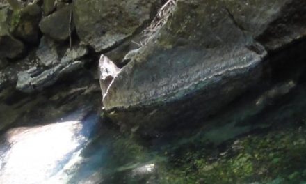 Finding the Lost River in Costa Rica