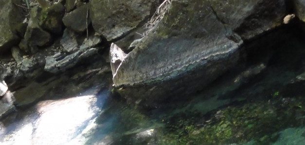 Finding the Lost River in Costa Rica
