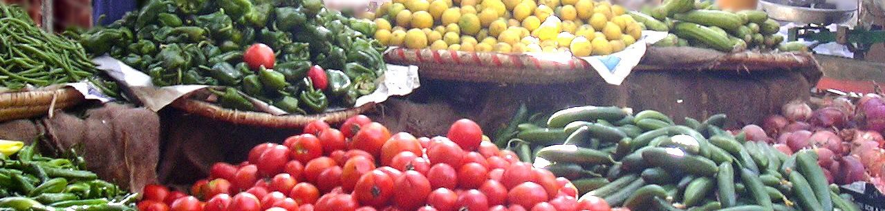 Tastes of Egyptian Foods by Season