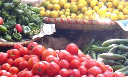 Tastes of Egyptian Foods by Season