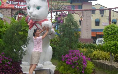Kuching’s Cat Museum, Malaysia