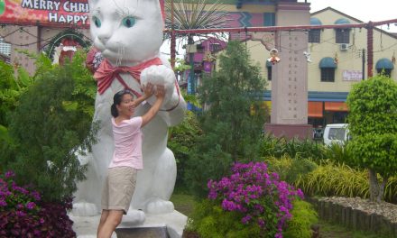 Kuching’s Cat Museum, Malaysia