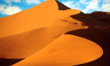 Namibia Safari from African Travel, Inc.