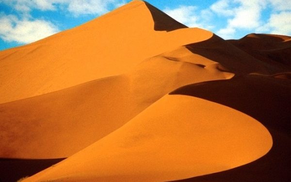 Namibia Safari from African Travel, Inc.