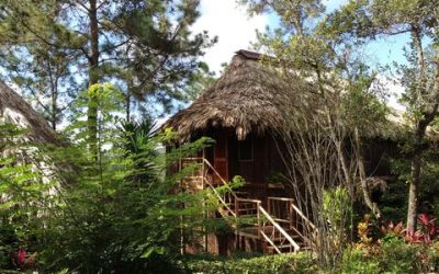 Upgrades at Belize’s Gaia Riverlodge