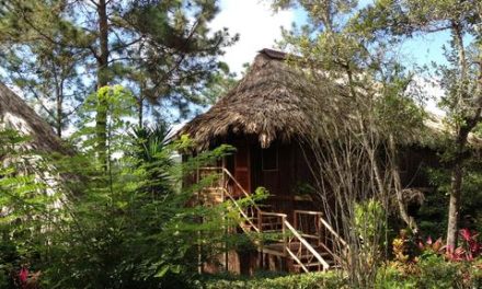 Upgrades at Belize’s Gaia Riverlodge