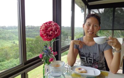 Driving the Sunshine Coast Hinterland