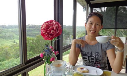 Driving the Sunshine Coast Hinterland