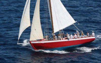 What’s New in Anguilla