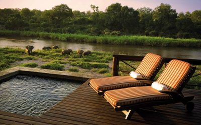 Luxurious South Africa Safari