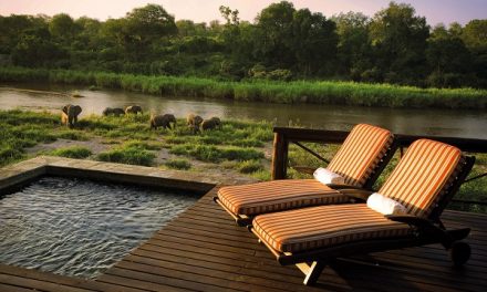 Luxurious South Africa Safari