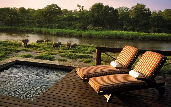 Luxurious South Africa Safari