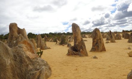 The Pinnacles of Western Australia