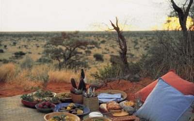 Out There Africa