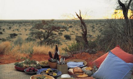 Out There Africa