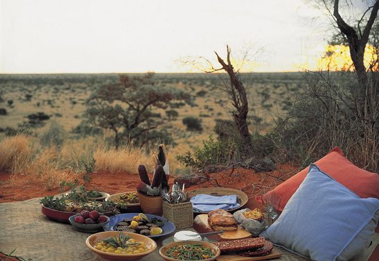 Out There Africa