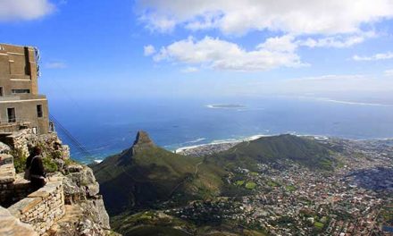 Cape Town Safari Vacation
