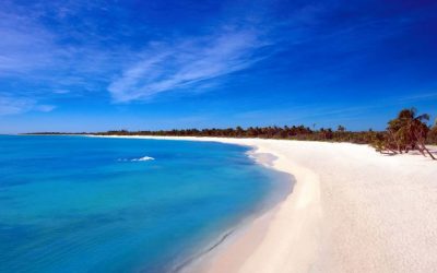 The Caribbean Coast Of Mexico