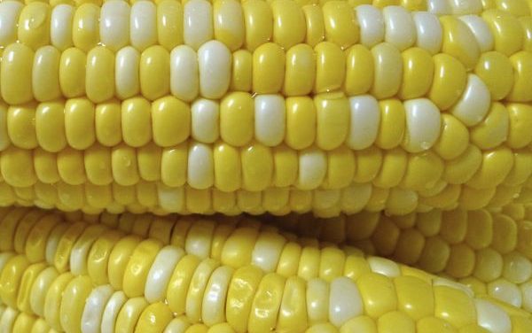 10 Ways to Eat Corn on the Streets of Mexico City