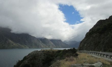 Roadside Kindness in Queenstown