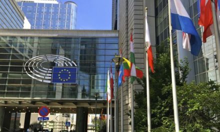 Discovering Political Culture in Brussels