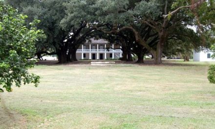 Whitney Plantation: A Different Kind of Tour