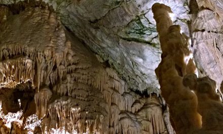 Sparkling Caves and Baby Dragons in Slovenia