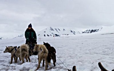 Dog-sledding in Svalbard, Norway