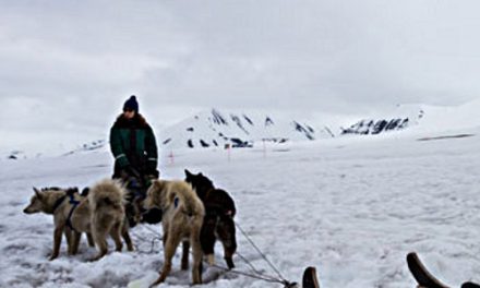 Dog-sledding in Svalbard, Norway