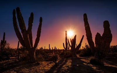Introducing Rancho San Lucas in Cabo
