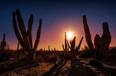 Introducing Rancho San Lucas in Cabo