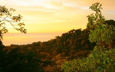 Exploring Costa Rica with Massi Devoto Chen